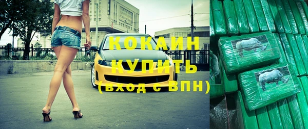 ALPHA PVP Гусев