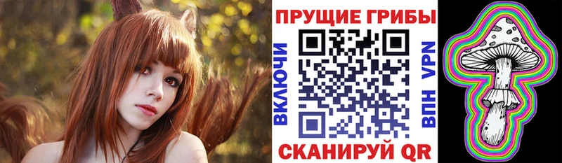 Галлюциногенные грибы Magic Shrooms  где найти   Чухлома 